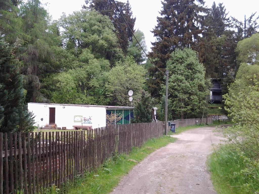 Naturferienhaus Luppbodemühle Allrode Exterior foto